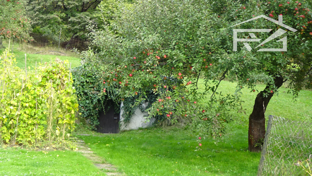 Predaj - dom s garážou - Medzilaborce