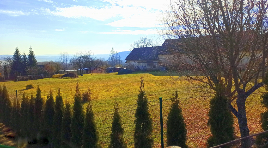 Predaj - rovinatý pozemok Mestisko, okr. Svidník rezervovaný